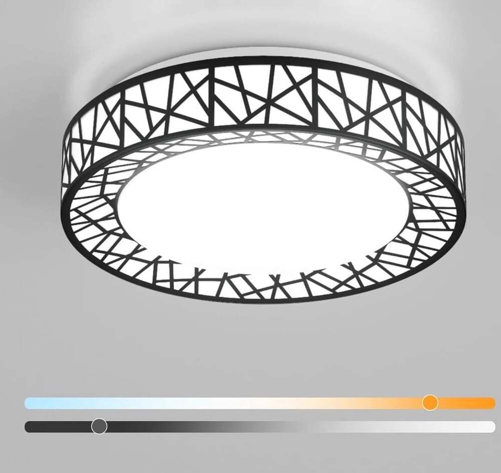 Lightania 12 Inch 20W LED Modern Ceiling Light Black Flush Mount